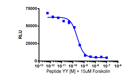 cAMP Hunter™ Human PYY (NPY2R) Gi Stable Cell Line Assay (CHO-K1)