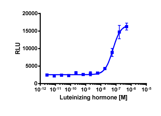 cAMP Hunter™ Human LHCGR Gs Cell-Based Assay Kit (CHO-K1)