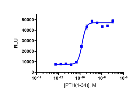 cAMP Hunter™ Human PTHR1 Gs/Gq Stable Cell Line Assay (CHO-K1)