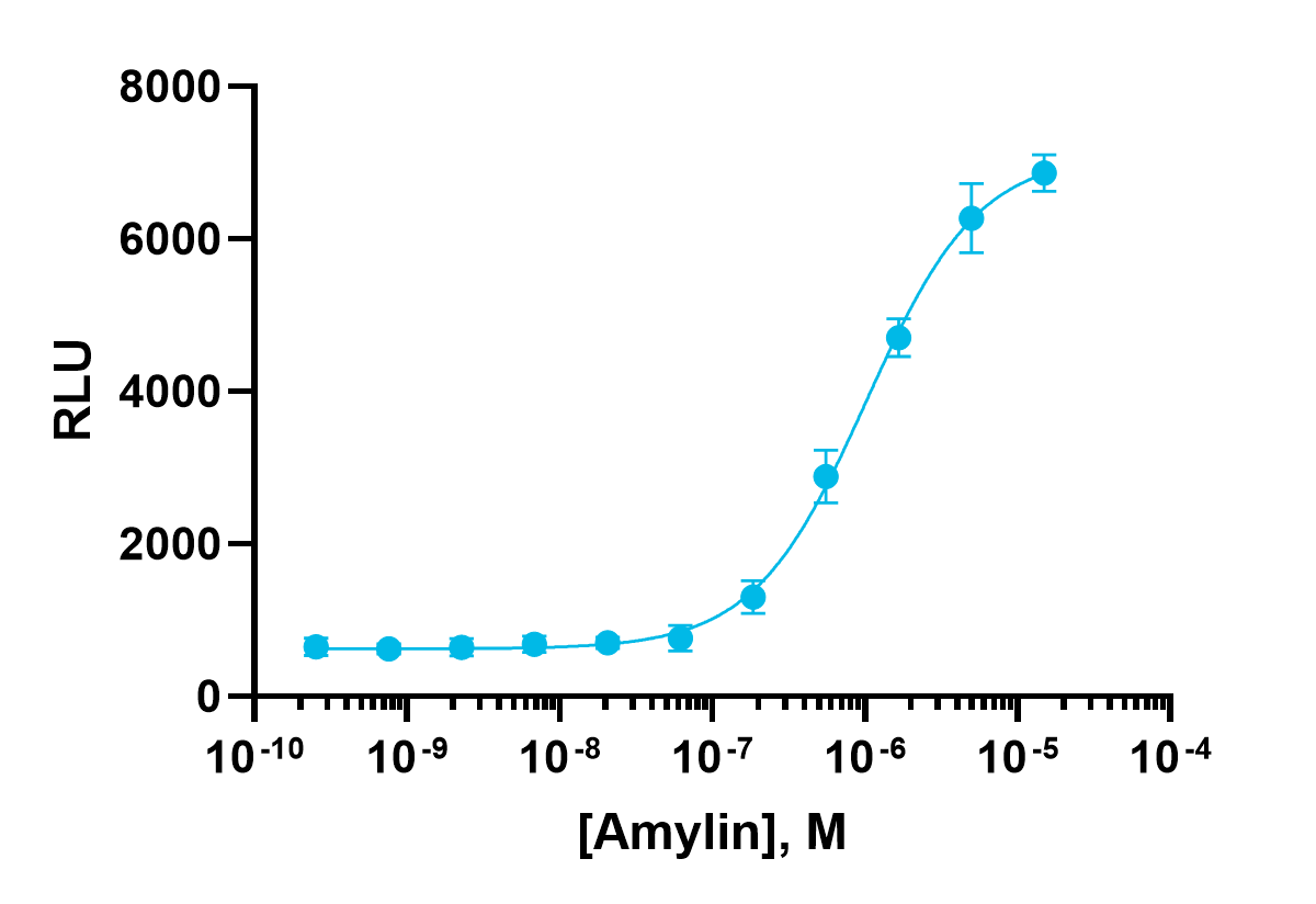 PathHunter® Human Amylin (AMY1 Receptor) β-Arrestin Cell-Based Assay Kit (CHO-K1)