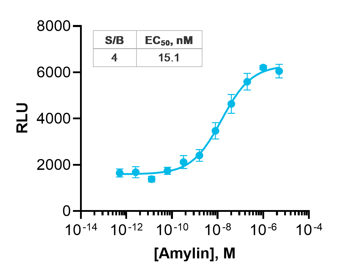 PathHunter® eXpress CALCR-RAMP3 (AMY3) β-Arrestin Recruitment Assay (CHO-K1)