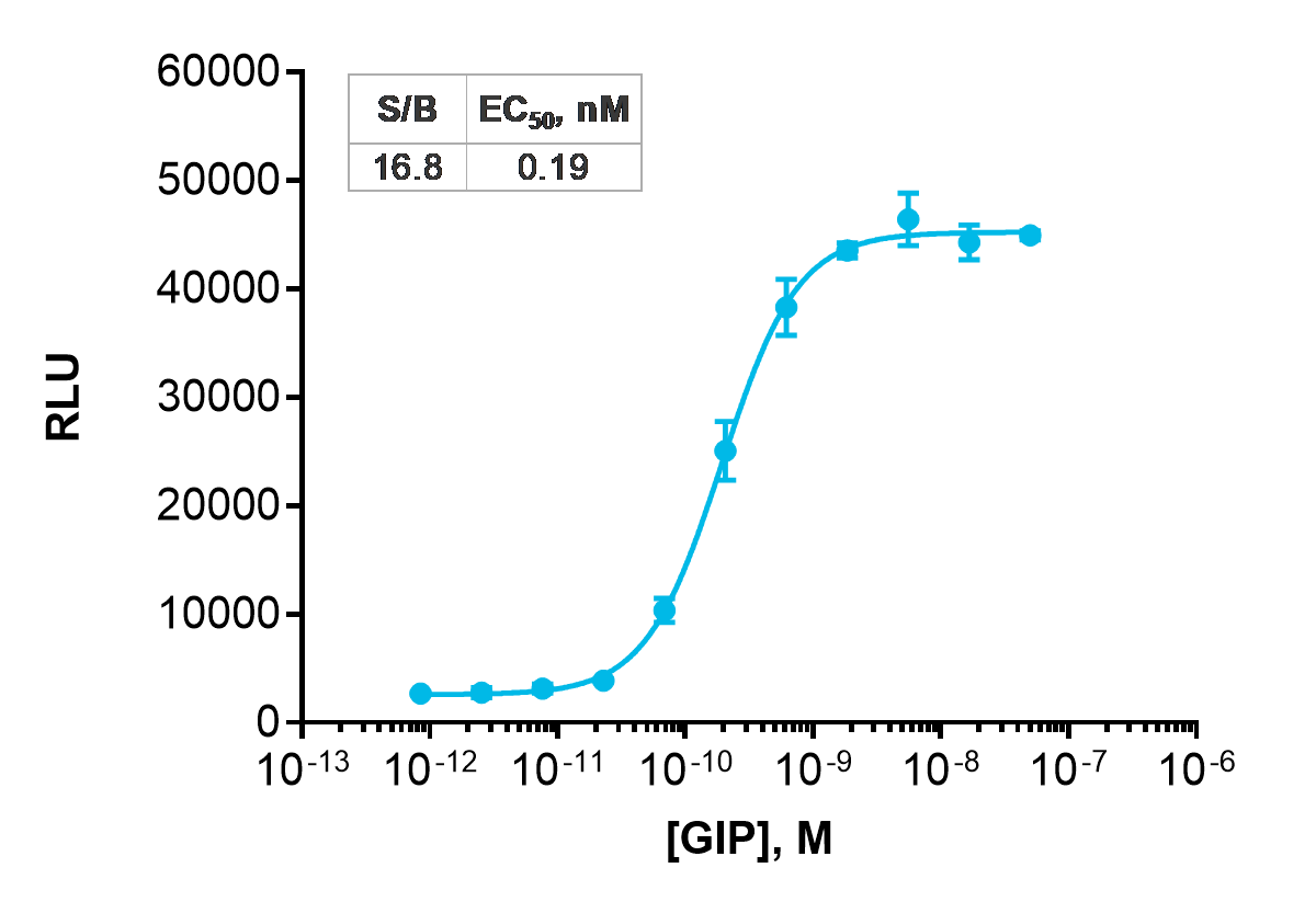 cAMP Hunter™ eXpress Cyno GIPR Gs Assay (CHO-K1)