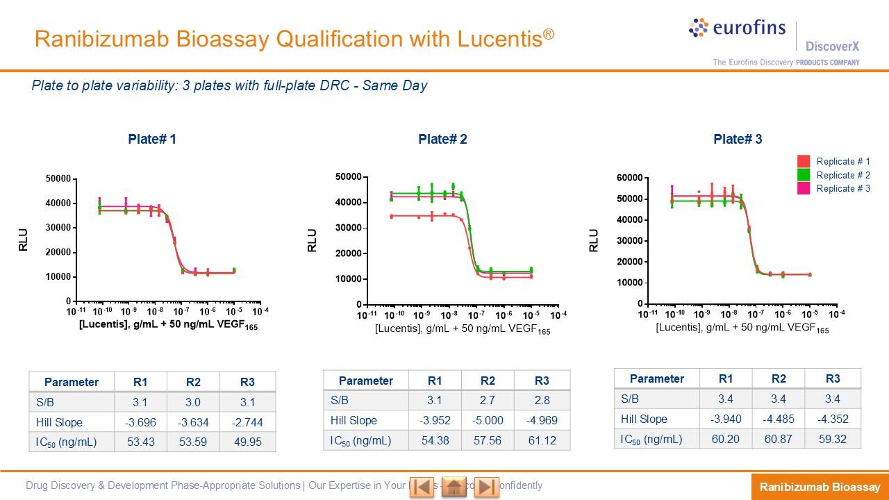 PathHunter® Ranibizumab Bioassay HS Kit