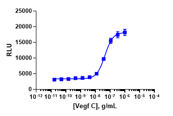 PathHunter® Human VEGFR2/VEGFR3 Stable Cell Line Dimerization Assay (U2OS)