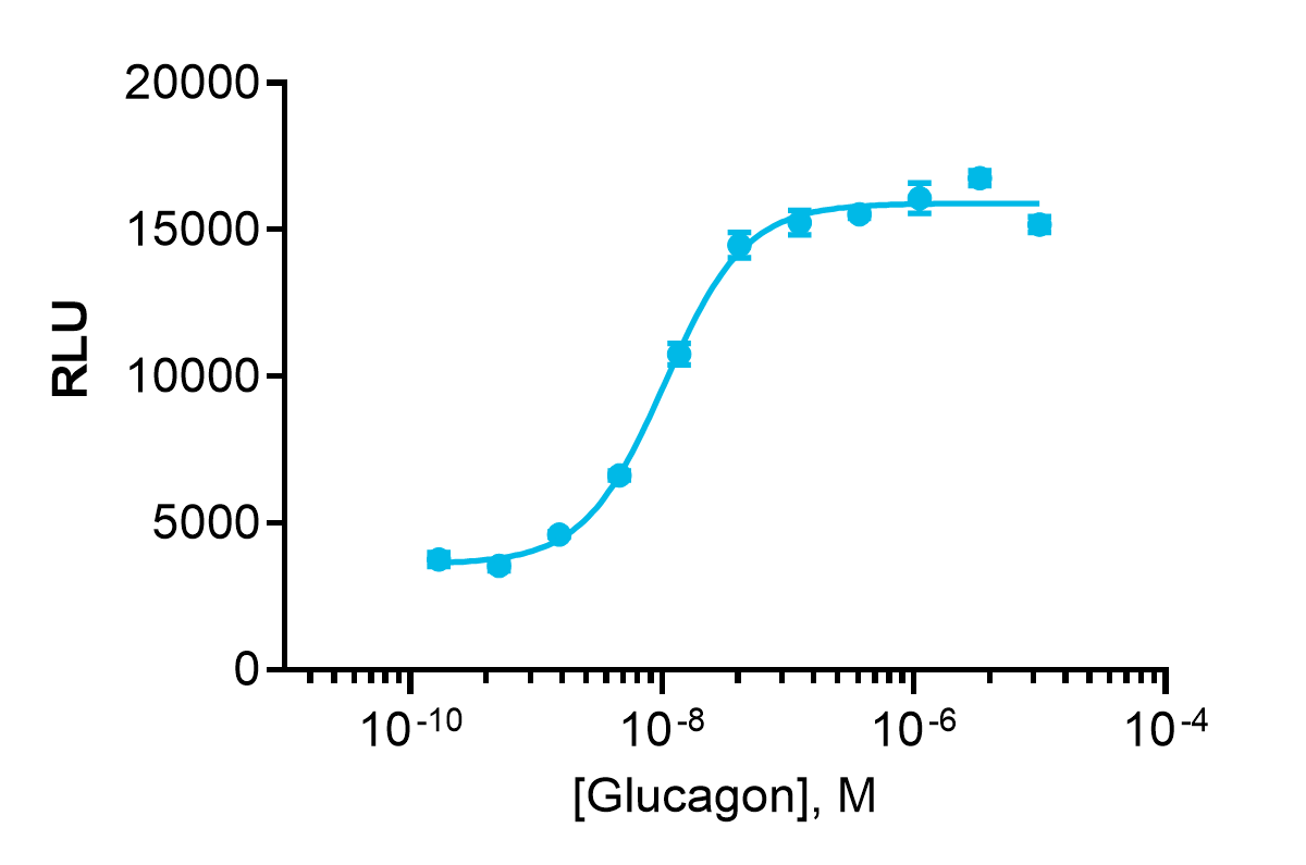 PathHunter® Human Glucagon (GCGR) Stable Cell Line Total GPCR Internalization Assay (HEK 293)