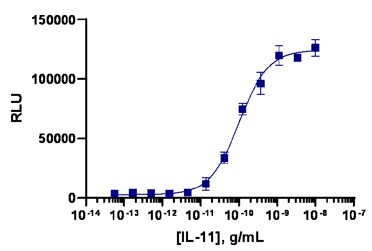 PathHunter® Human IL-11 (IL11RA) Signaling STAT3 Reporter Stable Cell Line Assay (HEK293)