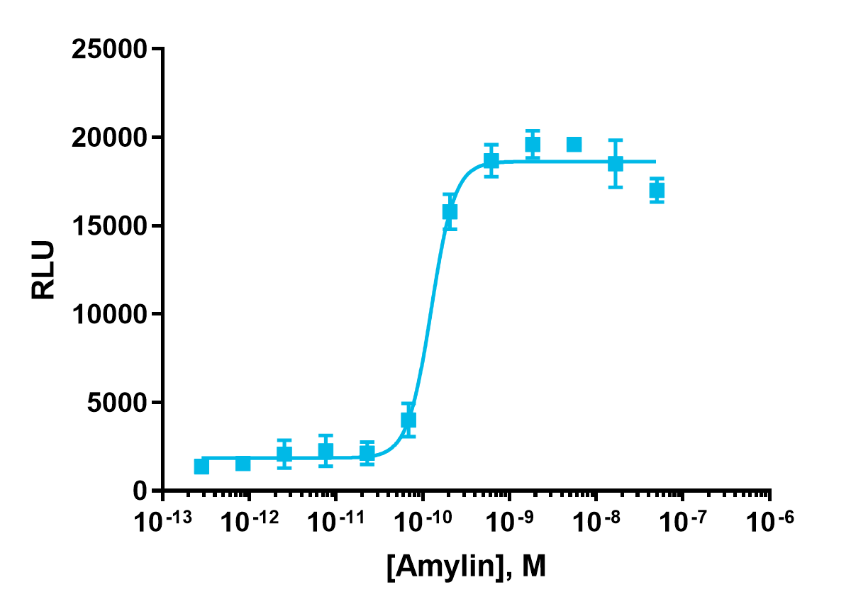 cAMP Hunter™ eXpress Human Amylin (AMY3 Receptor) GPCR Assay (CHO-K1)