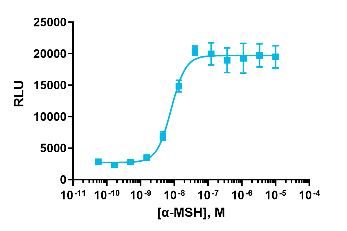 cAMP Hunter™ eXpress MC4R CHO-K1 GPCR Assay