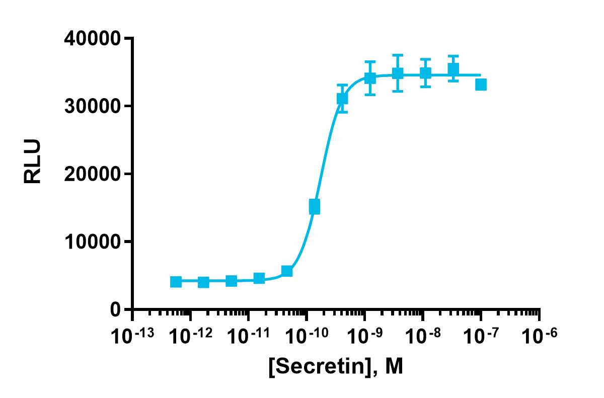 cAMP Hunter™ eXpress SCTR CHO-K1 GPCR Assay