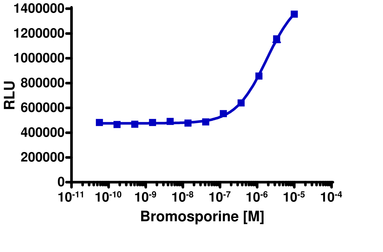 InCELL Hunter™ HEK 293 TAF1L(2) Bromodomain Cell Line