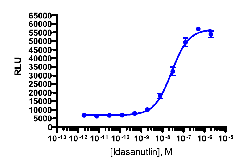 SPRINTer™ eXpress CDKN1A (p21) Protein Turnover Biosensor Assay (HCT-116)