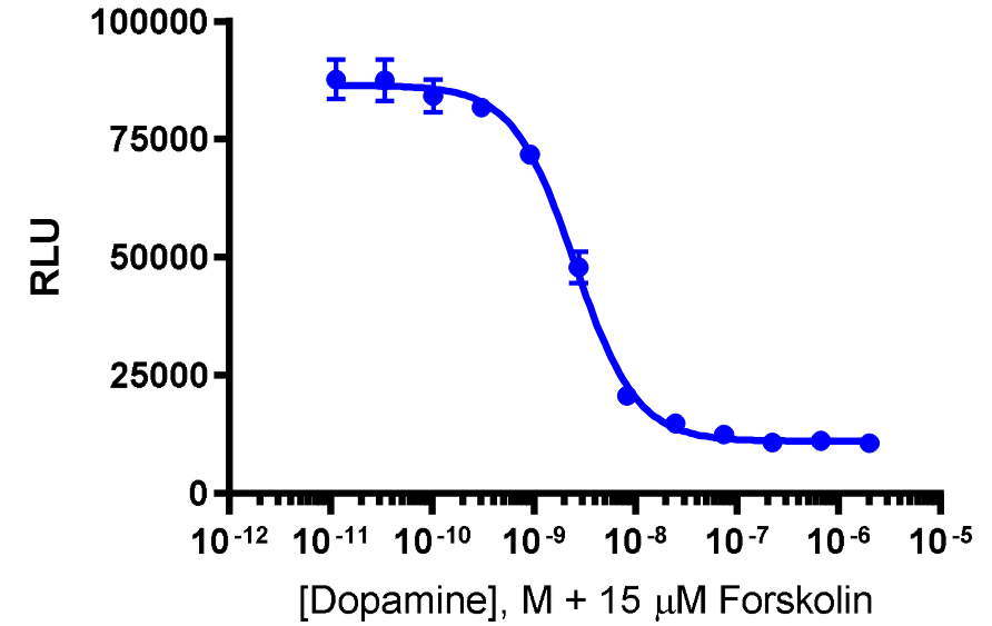 cAMP Hunter™ CHO-K1 DRD2L (Long Isoform) Gi Cell Line