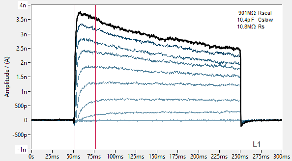 PrecisION™ hKv1.7 Recombinant Stable Cell Line