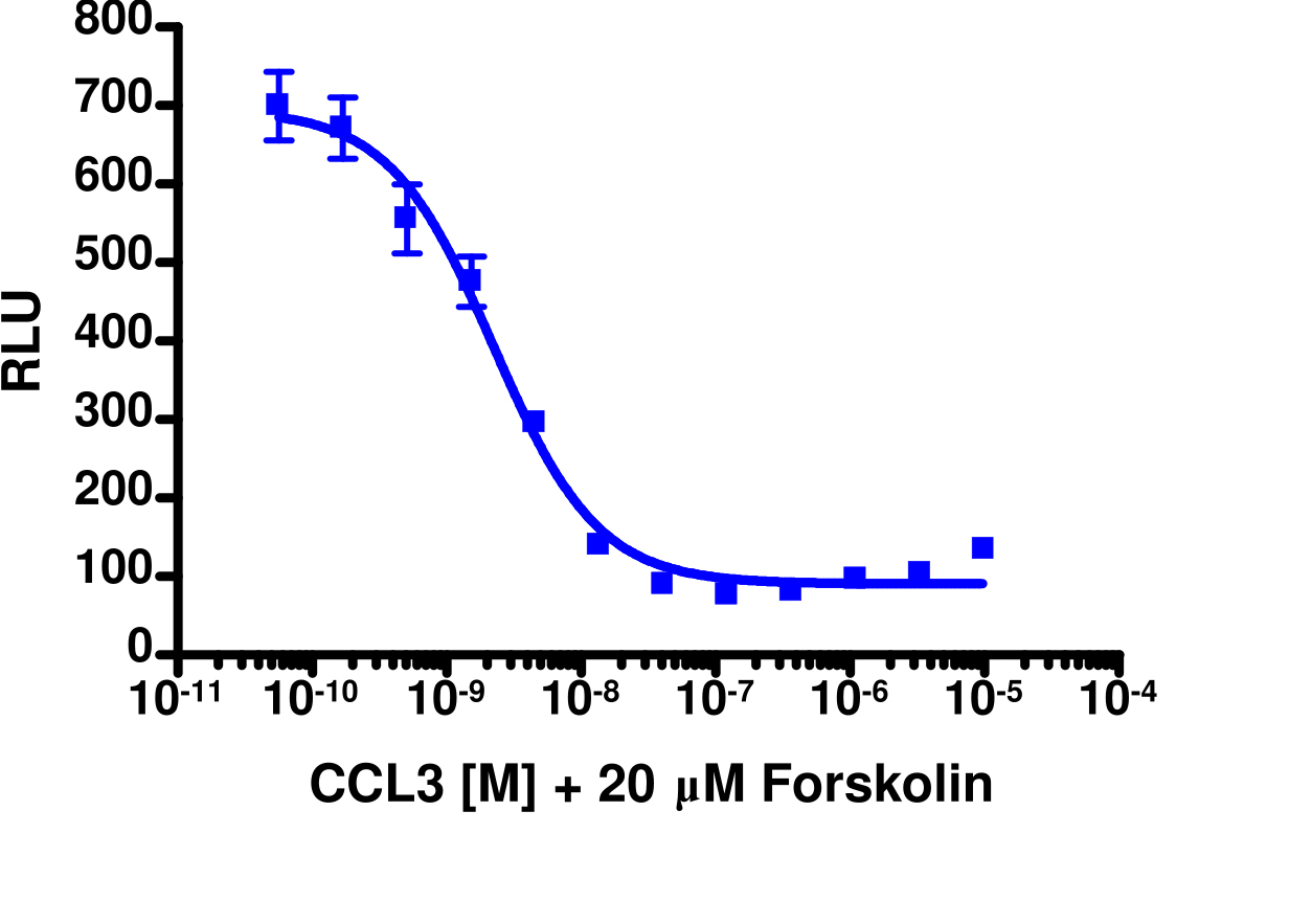 cAMP Hunter™ CHO-K1 CCR1 Gi Cell Line