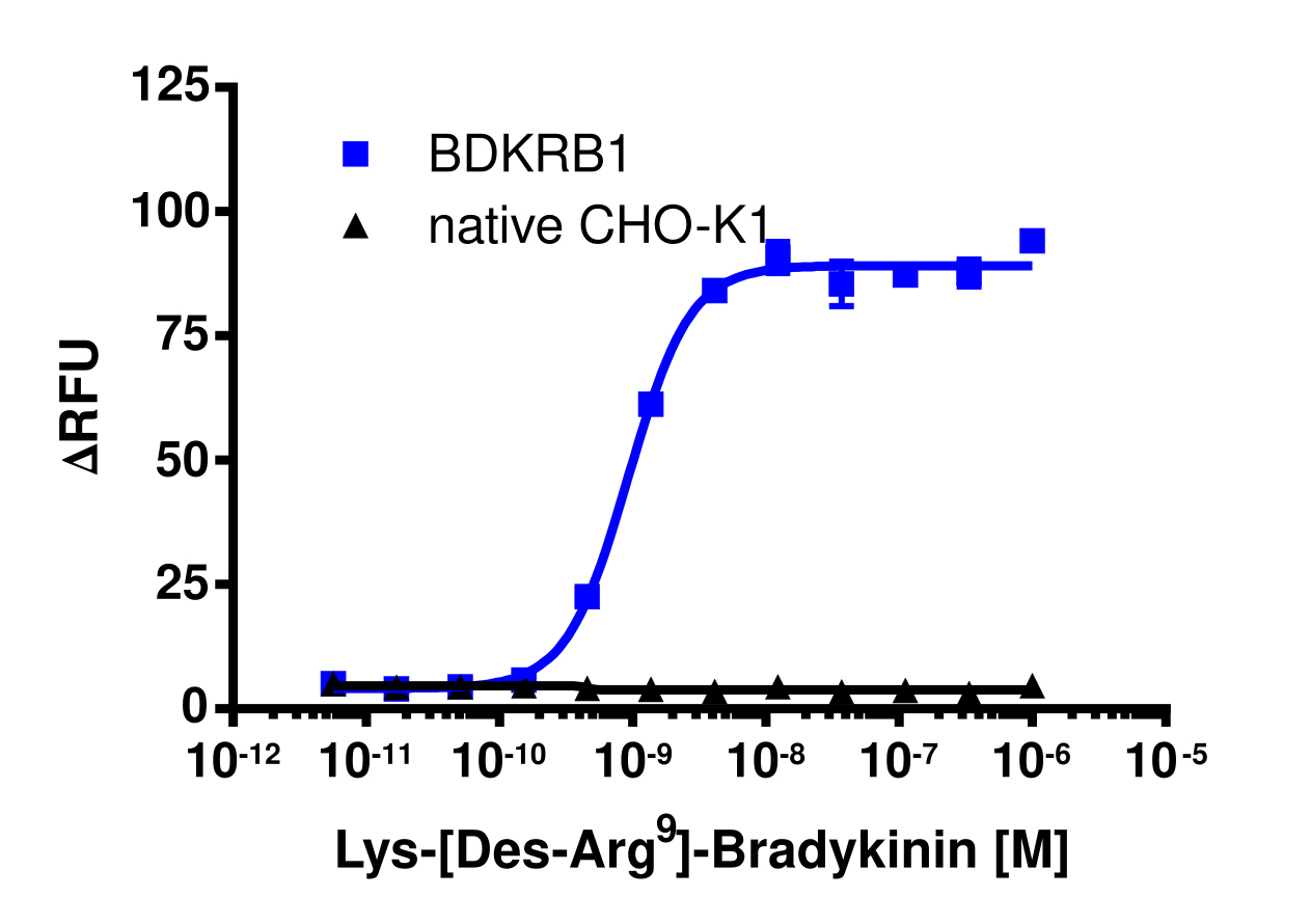 CHO-K1 BDKRB1 Gq Cell Line
