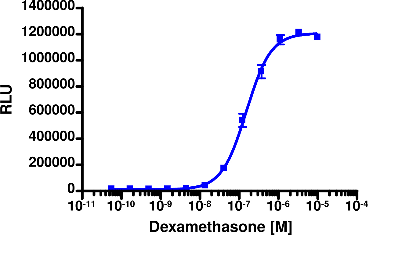 PathHunter® CHO-K1 GR Protein Interaction Cell Line