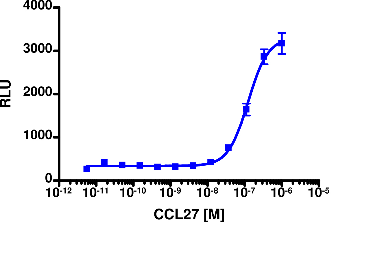 PathHunter® U2OS CCR10 β-Arrestin Cell Line
