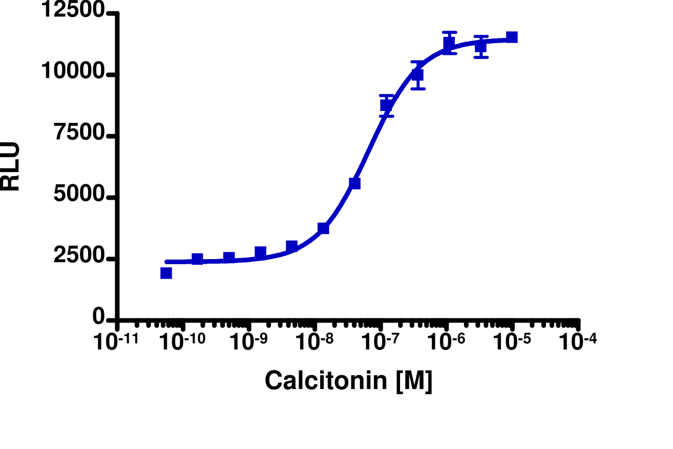PathHunter® U2OS CALCR (No RAMP) β-Arrestin Cell Line