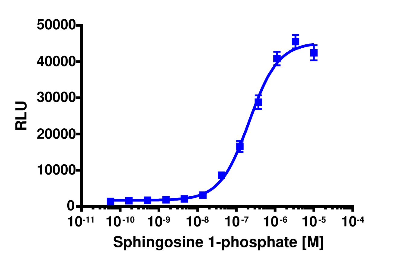 PathHunter® CHO-K1 rEDG5 β-Arrestin Cell Line