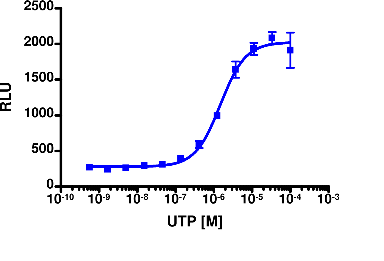 PathHunter® P2RY4 Activated GPCR Internalization U2OS Cell Line