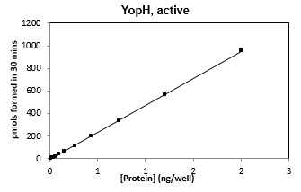YopH, active