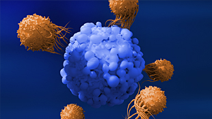 Immuno-Oncology
