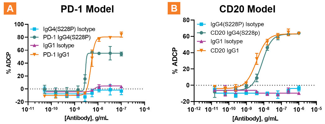 The KILR ADCP Bioassay Kit can be used to evaluate the ADCP activity of different antibody therapeutics that utilize IgG1 or IgG4(S228P) Fc domains. 