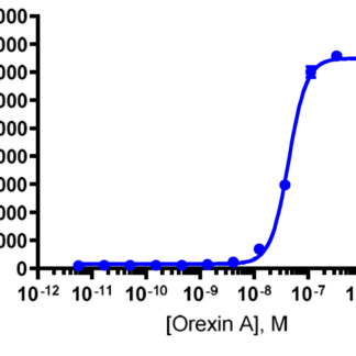Cells were plated in a 96-well plate and stimulated with a control agonist. Following stimulation, signal was detected according to the recommended protocol.