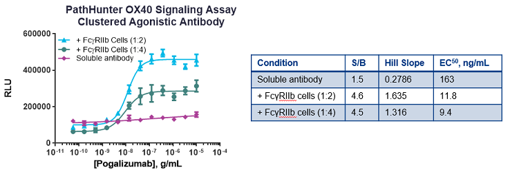 Antibody-Mediated Cross-Linking by FcγR Clustering