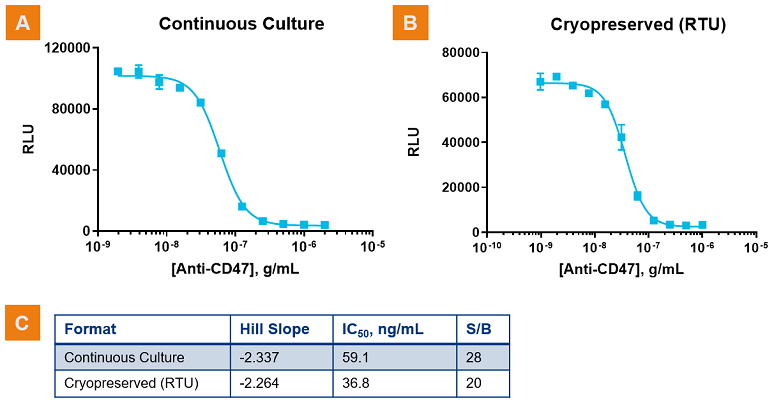 Phase-Appropriate Formats: Continuous Culture vs. Cryopreserved Cells
