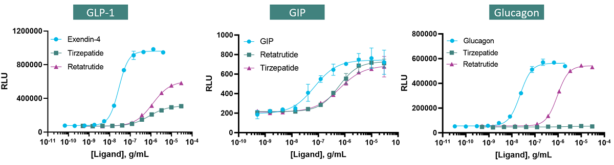 GPCR Biased Signaling Evaluation of Dual and Triple-receptor Agonist Against GLP-1, GIP, and Glucagon Receptors